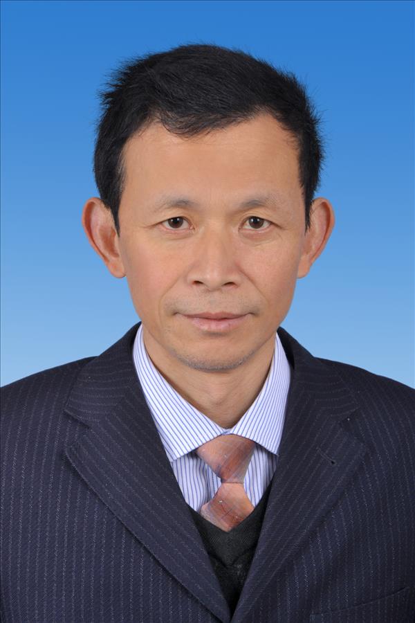 何新民